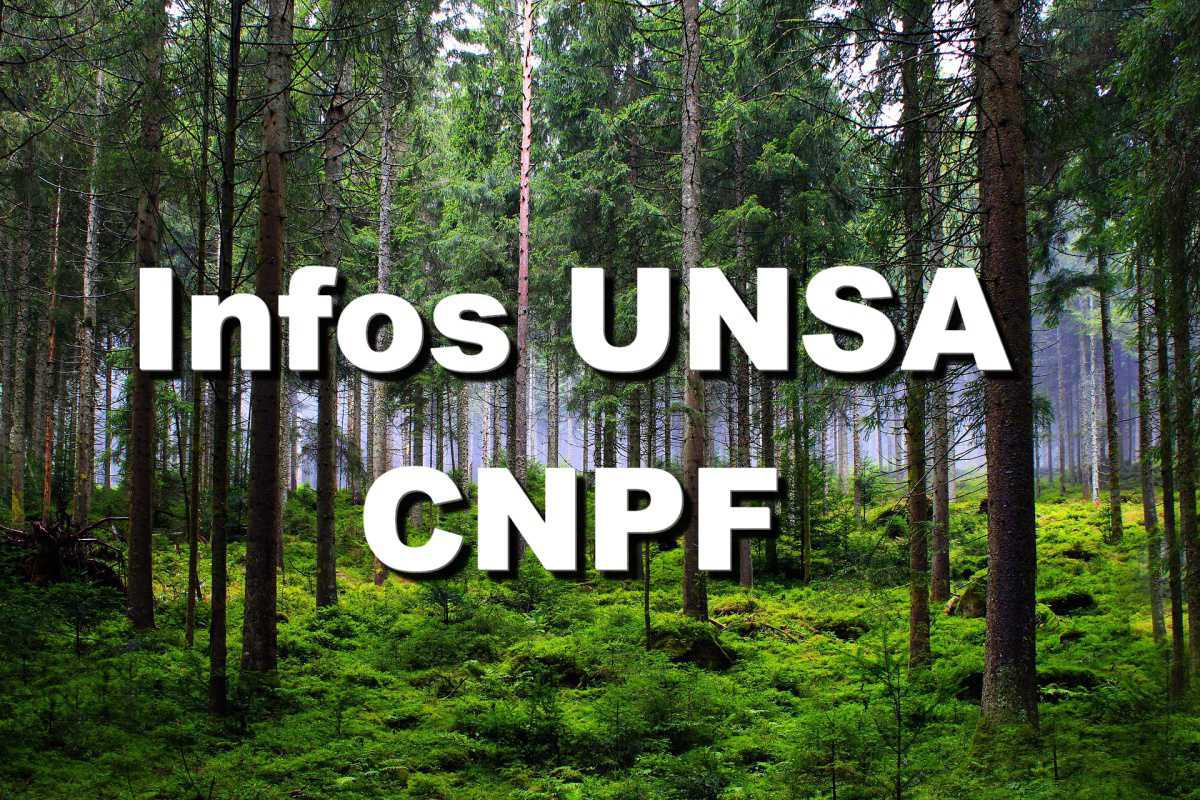 Infos UNSA janvier 2023 - Retour sur les élections de décembre pour le CSA du CNPF