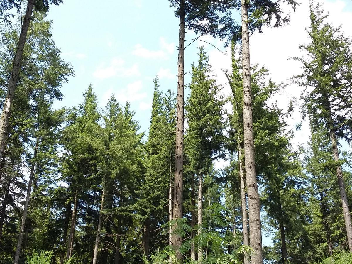 Vos élus au Comité Social d'Administration Vos élus au Comité Social d'Administration