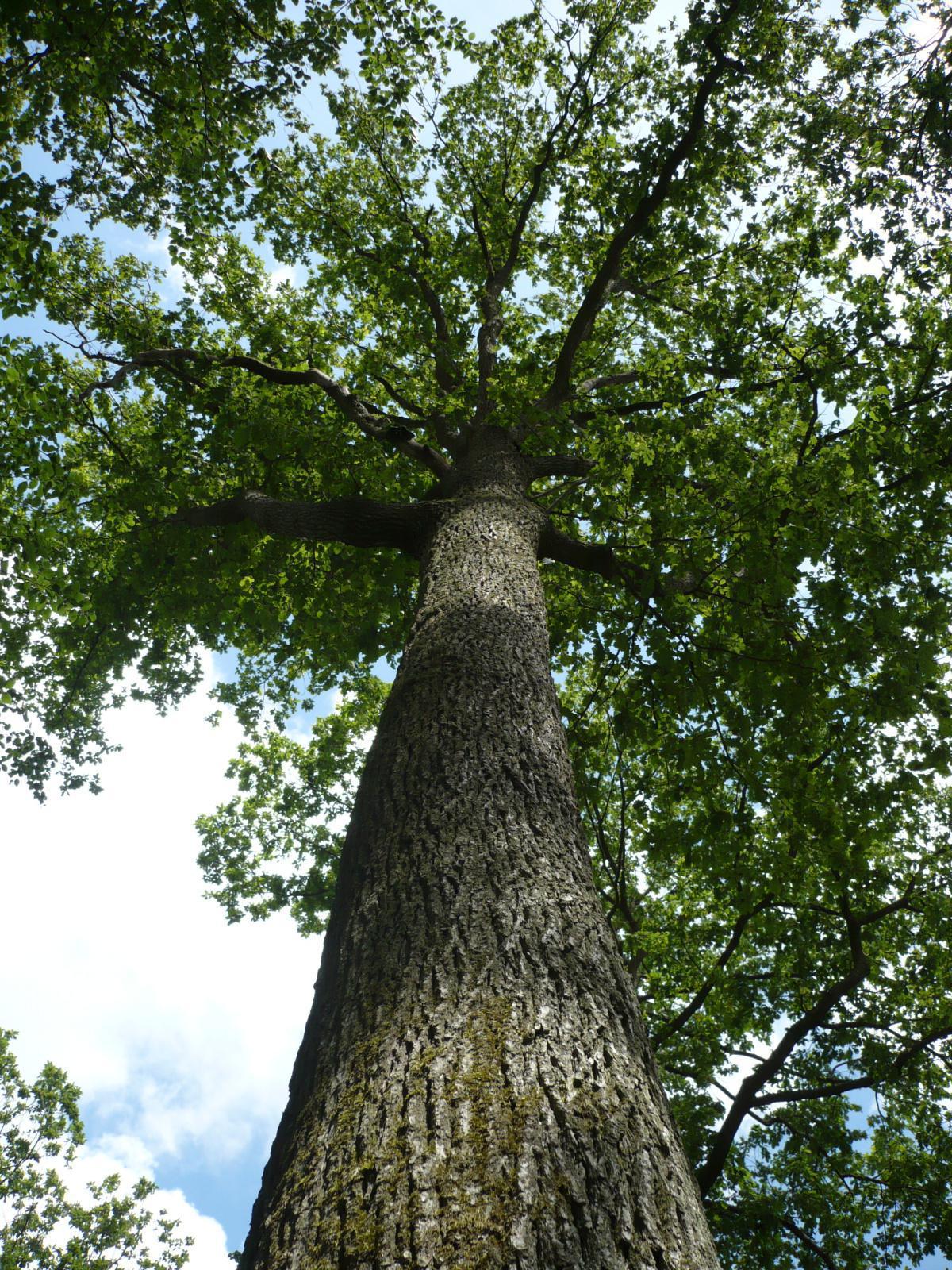 Charge de travail Charge de travail