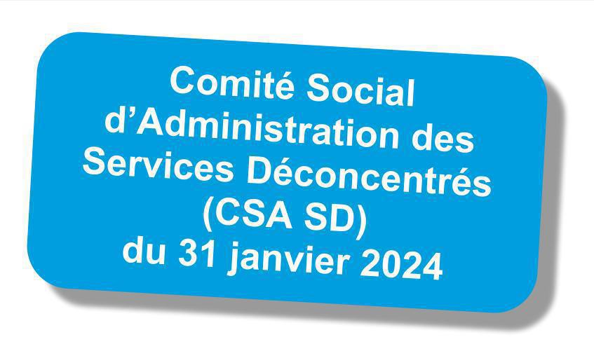 Compte-rendu du CSA des services déconcentrés du 31 janvier 2024 Compte-rendu du CSA des services déconcentrés du 31 janvier 2024