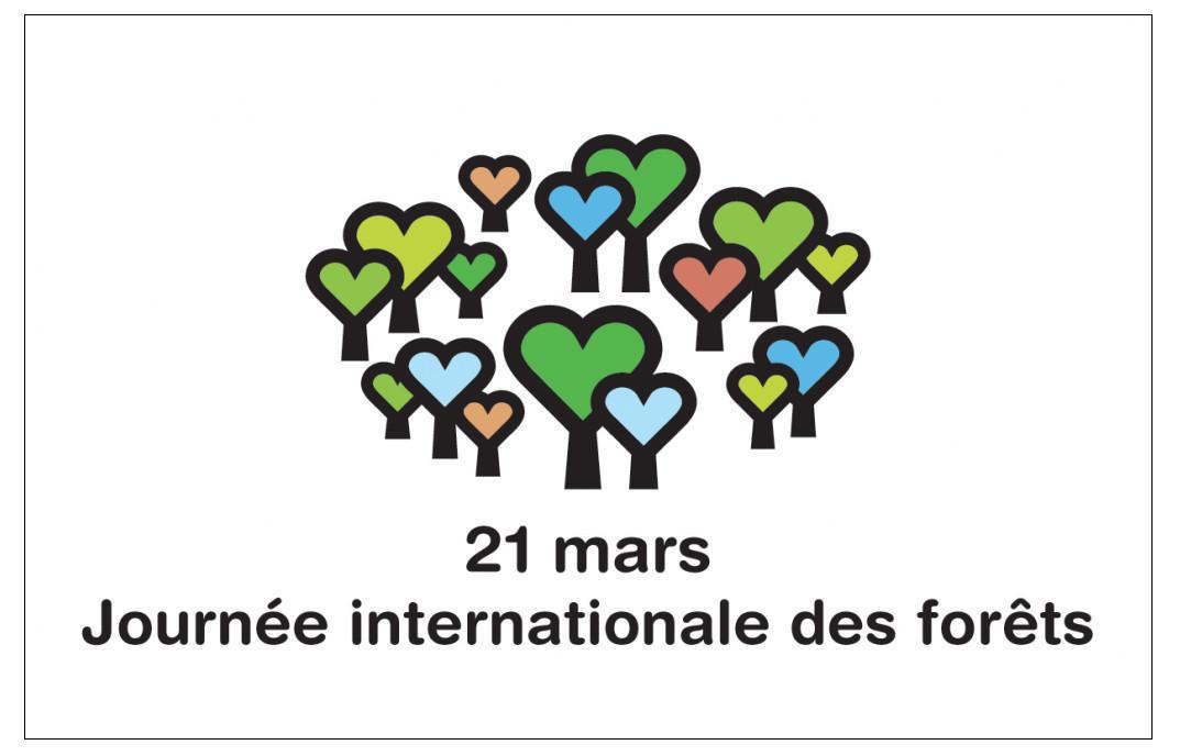 Aujourd'hui, c'est la journée internationale des forêts. Aujourd'hui, c'est la journée internationale des forêts.