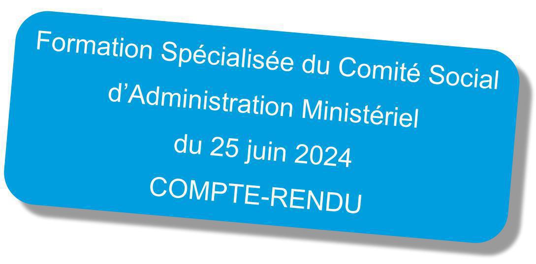 Compte-rendu de la formation spécialisée du Comité Social d'Administration Ministériel du 25 juin 2024 Compte-rendu de la formation spécialisée du Comité Social d'Administration Ministériel du 25 juin 2024