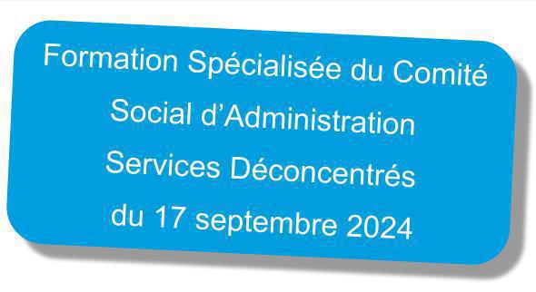 Compte-rendu du de la formation spécialisée du "CSA services déconcentrés" du 17 septembre 2024 Compte-rendu du de la formation spécialisée du "CSA services déconcentrés" du 17 septembre 2024