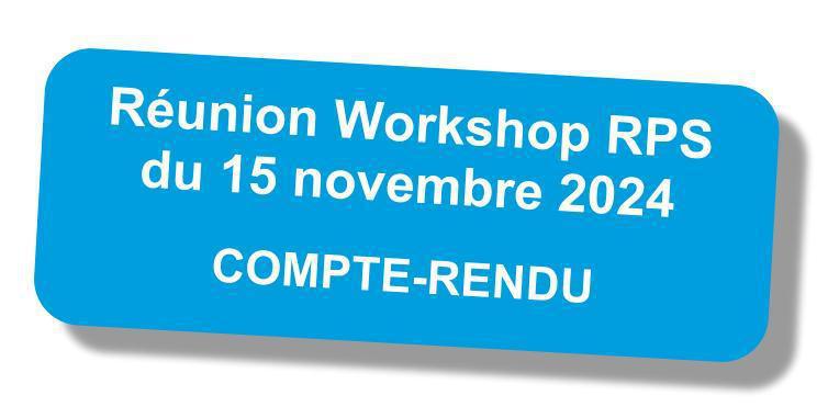 Compte-rendu du workshop "RPS" du 15 novembre 2024 Compte-rendu du workshop "RPS" du 15 novembre 2024