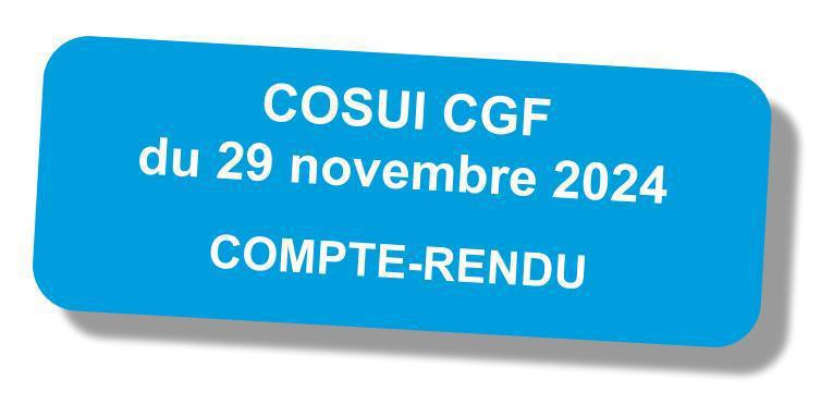 Comité de Suivi (COSUI) des Centres de Gestion Financière (CGF) du 29 novembre 2024 Comité de Suivi (COSUI) des Centres de Gestion Financière (CGF) du 29 novembre 2024