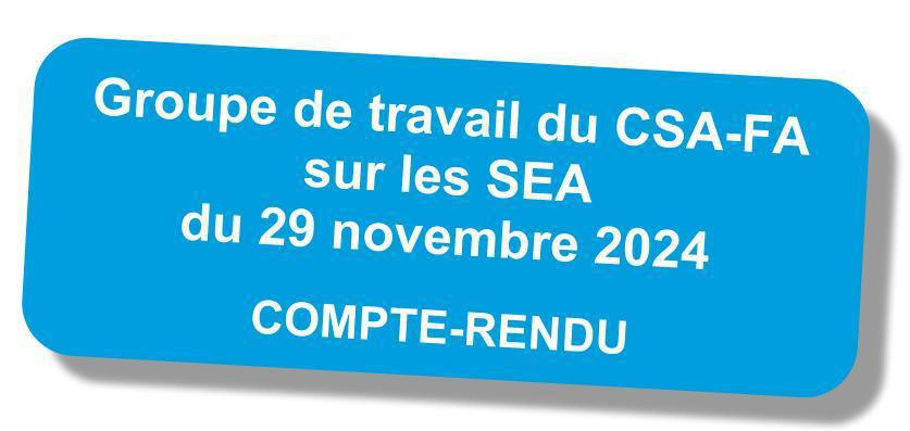 Compte-rendu du Groupe de travail du CSA FA sur les SEA du 29 novembre 2024 Compte-rendu du Groupe de travail du CSA FA sur les SEA du 29 novembre 2024
