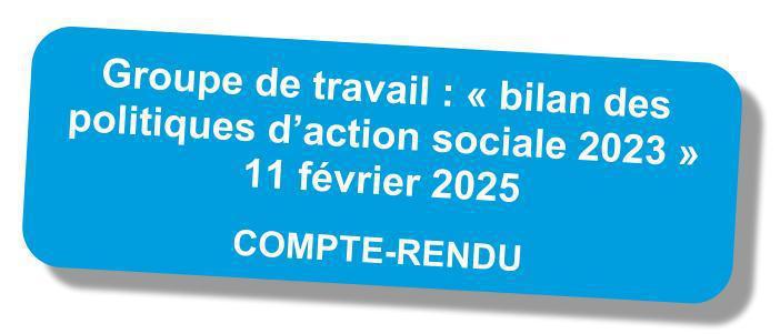 Compte-rendu du GT "bilan des politiques d'action sociale 2023" du 11 février 2025 Compte-rendu du GT "bilan des politiques d'action sociale 2023" du 11 février 2025