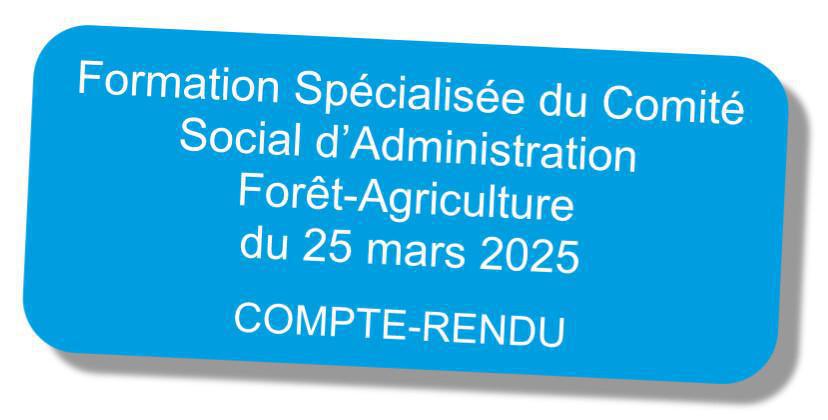 Compte-rendu de la formation spécialisée du CSA Forêt-Agriculture du 25 mars 2025 Compte-rendu de la formation spécialisée du CSA Forêt-Agriculture du 25 mars 2025