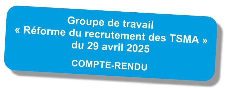 Compte-rendu du GT "réforme du recrutement des TSMA" du 29 avril 2025 Compte-rendu du GT "réforme du recrutement des TSMA" du 29 avril 2025