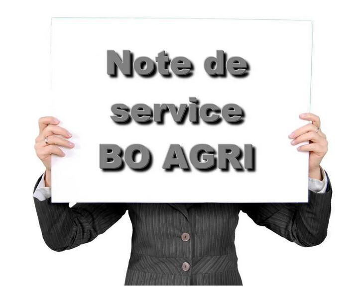 Note de service - SG/SRH/SDDPRS/2025-280 05/05/2025 - Préparation au concours interne ingénieurs de l'agriculture et de l'environnement (IAE) session 2026