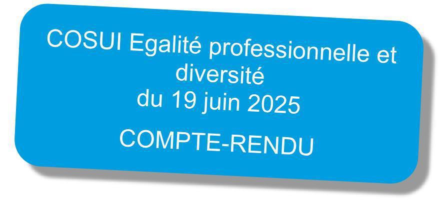 Comité de suivi "Egalité professionnelle et diversité" du 19 juin 2025