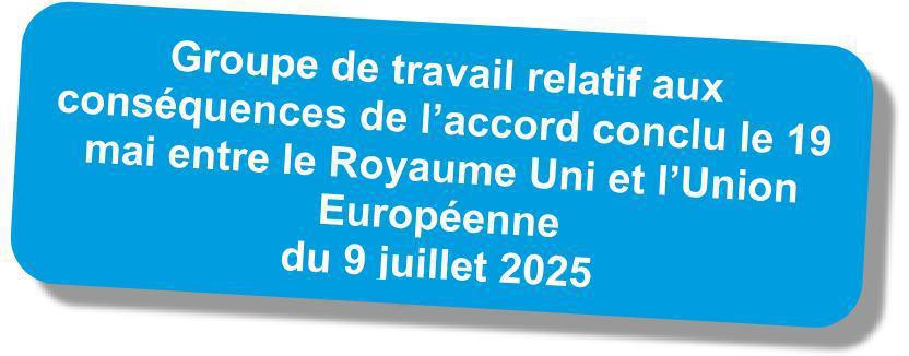 Compte-rendu du GT "Conséquences de l'accord conclu le 19 mai entre le Royaume Uni et l'UE" du 9 juillet 2025
