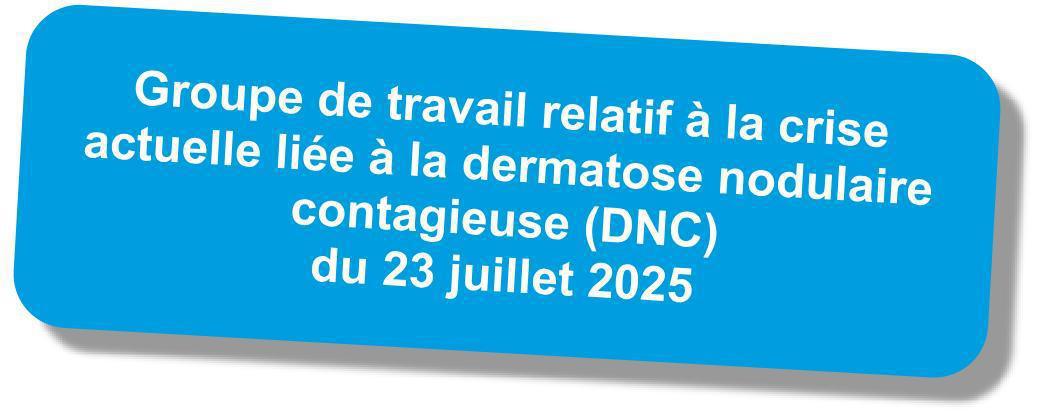 Compte-rendu du GT "Crise de la dermatose nodulaire contagieuse (DNC)" du 23 juillet 2025