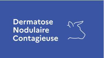 Crise de la DNC : Les agents en première ligne réclament soutien et reconnaissance Crise de la DNC : Les agents en première ligne réclament soutien et reconnaissance