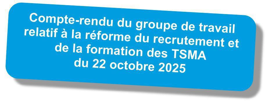 Compte-rendu du GT "Réforme du recrutement et de la formation des TSMA" du 22 octobre 2025 Compte-rendu du GT "Réforme du recrutement et de la formation des TSMA" du 22 octobre 2025
