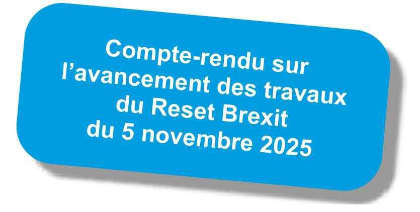Compte-rendu du GT "Reset Brexit" du 5 novembre 2025