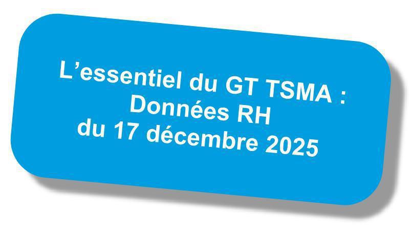 Compte-rendu du GT "TSMA" du 17 décembre 2025 Compte-rendu du GT "TSMA" du 17 décembre 2025
