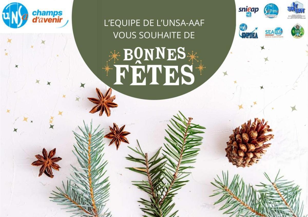 L'équipe de l'UNSA AAF vous souhaite de bonnes fêtes !