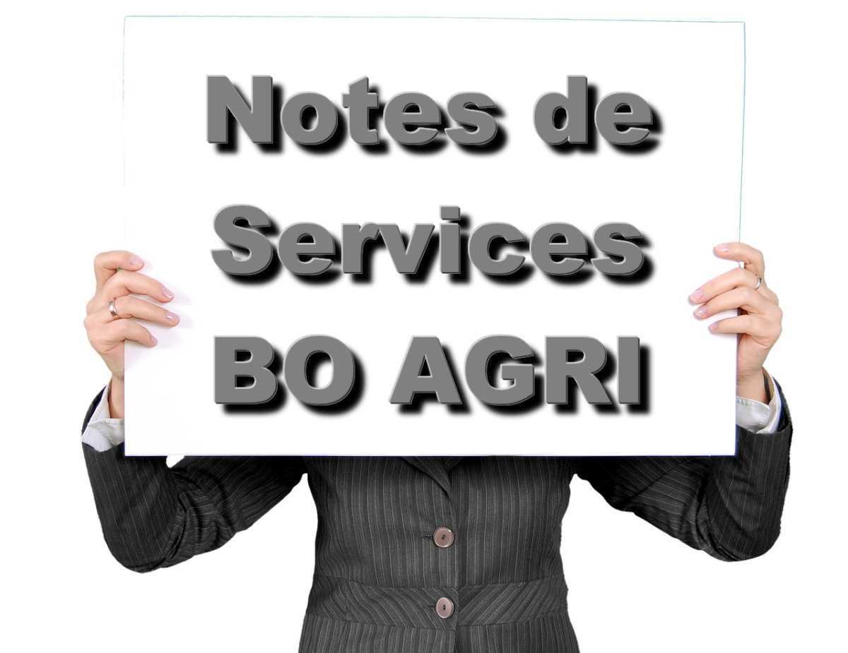 Notes de service - Concours et examens professionnel au titre de 2026 Notes de service - Concours et examens professionnel au titre de 2026