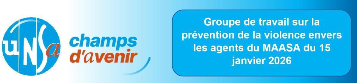 Compte-rendu du GT "Prévention de la violence envers les agents du MAASA" du 15 janvier 2026