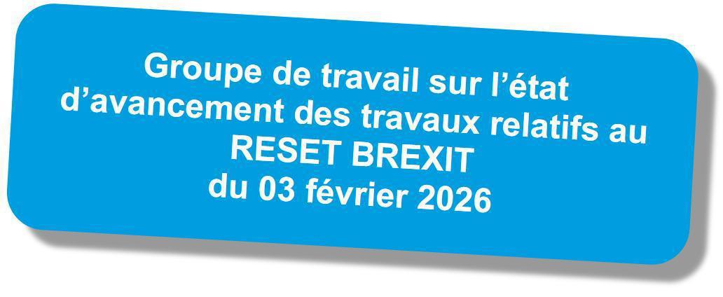 Compte-rendu du GT "Reset BREXIT" du 3 février 2026