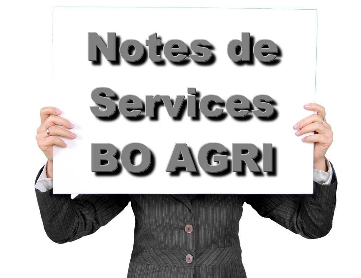 Notes de service - Programmation des concours et des examens professionnels du MAASA organisés au titre de la session 2027 - Prévention des risques liés aux fortes chaleurs et à la canicule