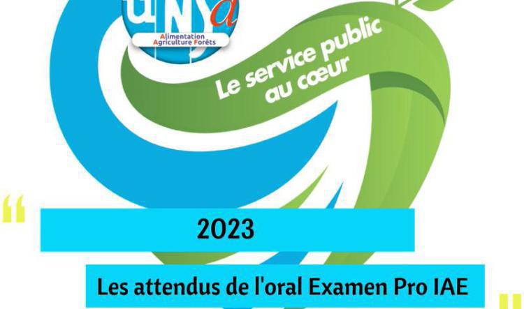 2023- Les attendus de l'oral examen Professionnel IAE