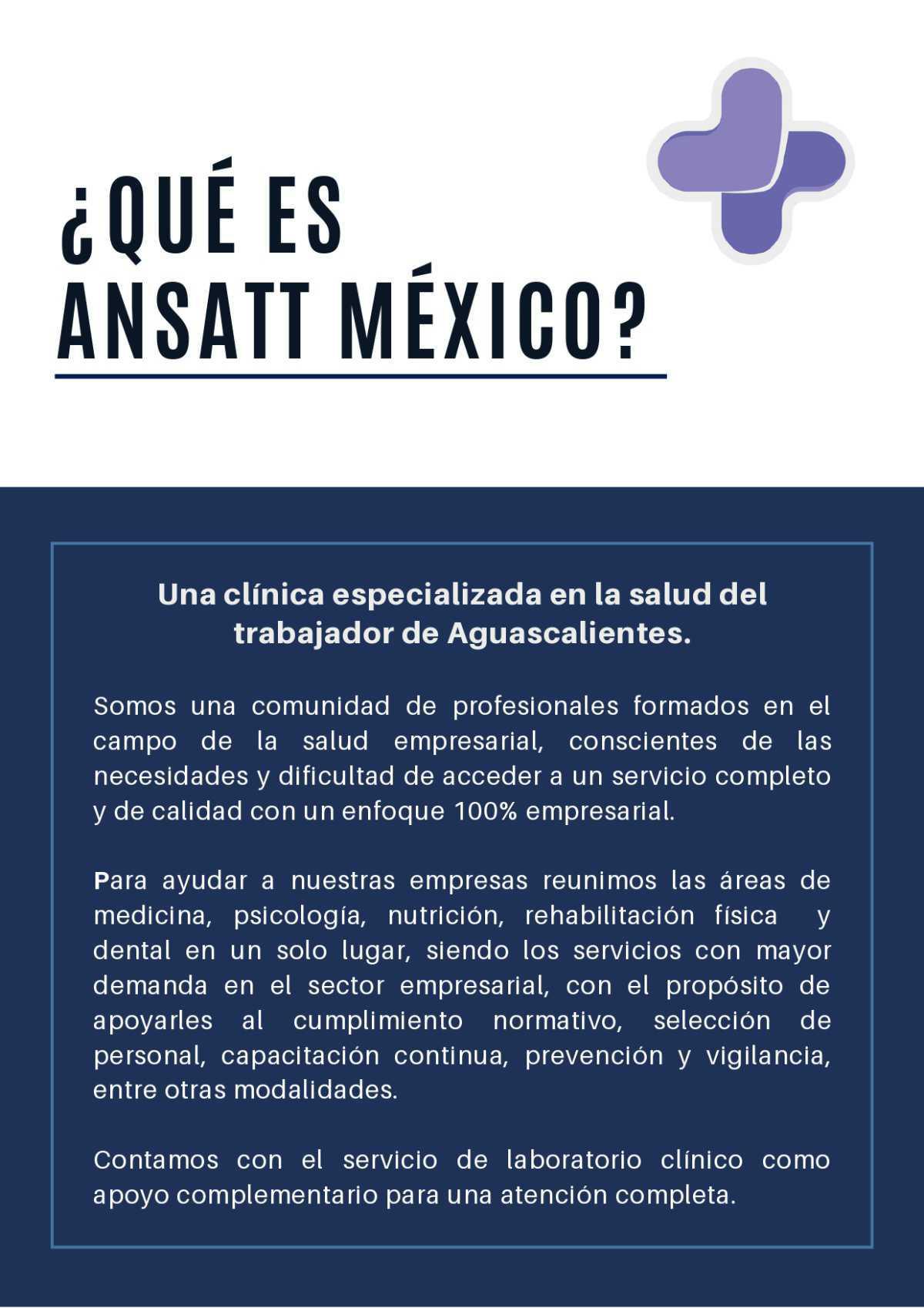 QUIENES SOMOS