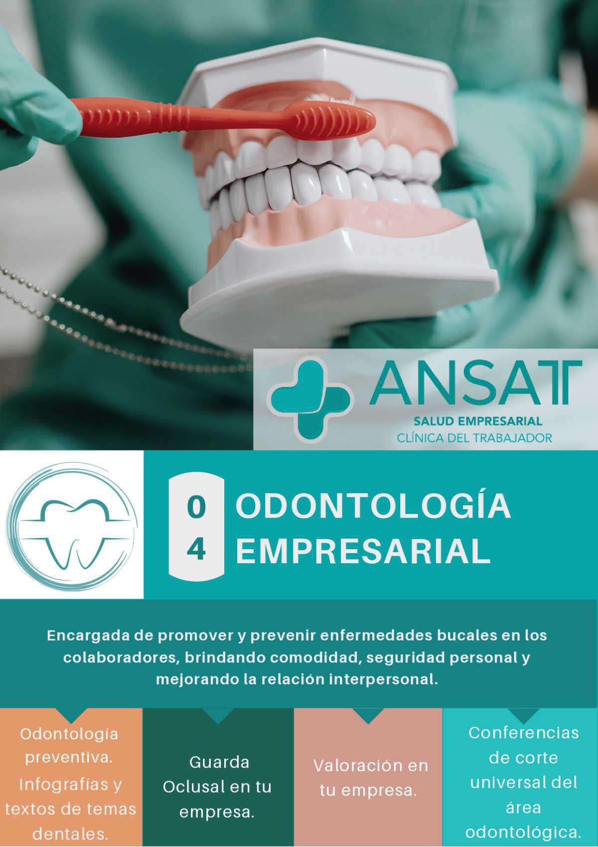 QUIENES SOMOS