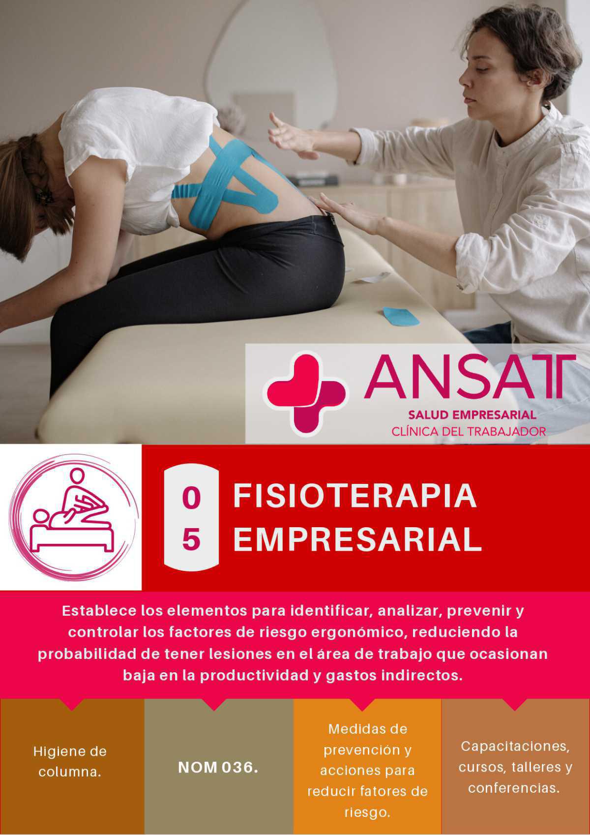 QUIENES SOMOS