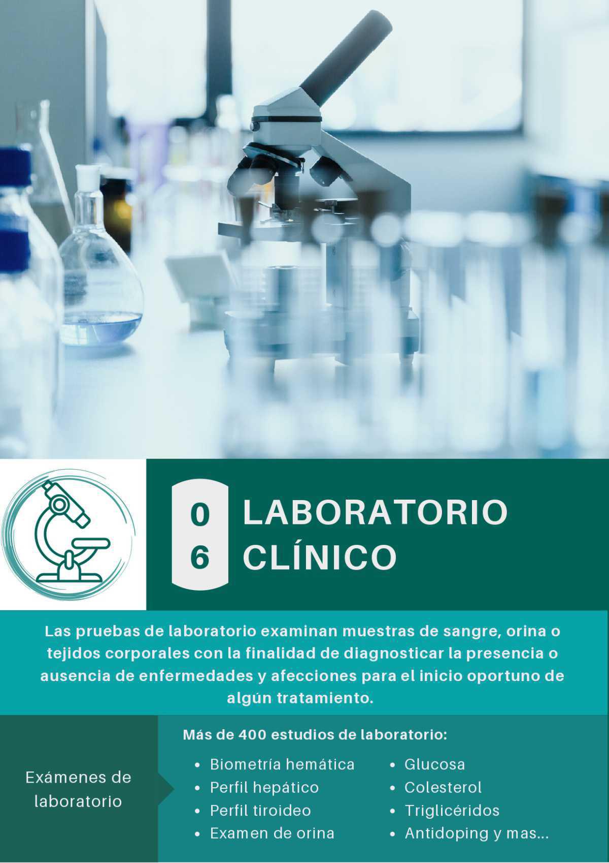 QUIENES SOMOS