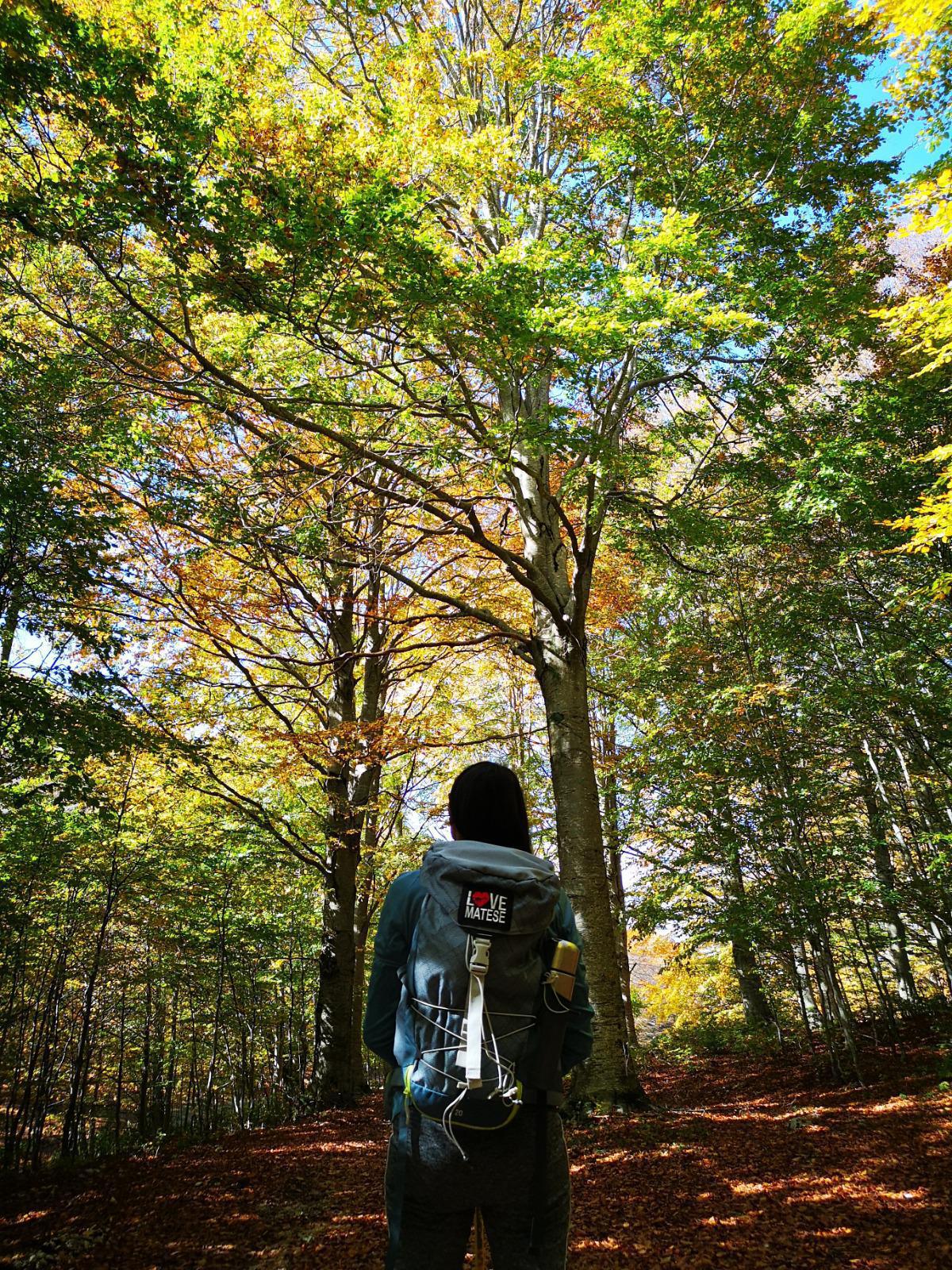 Love Matese Love Matese