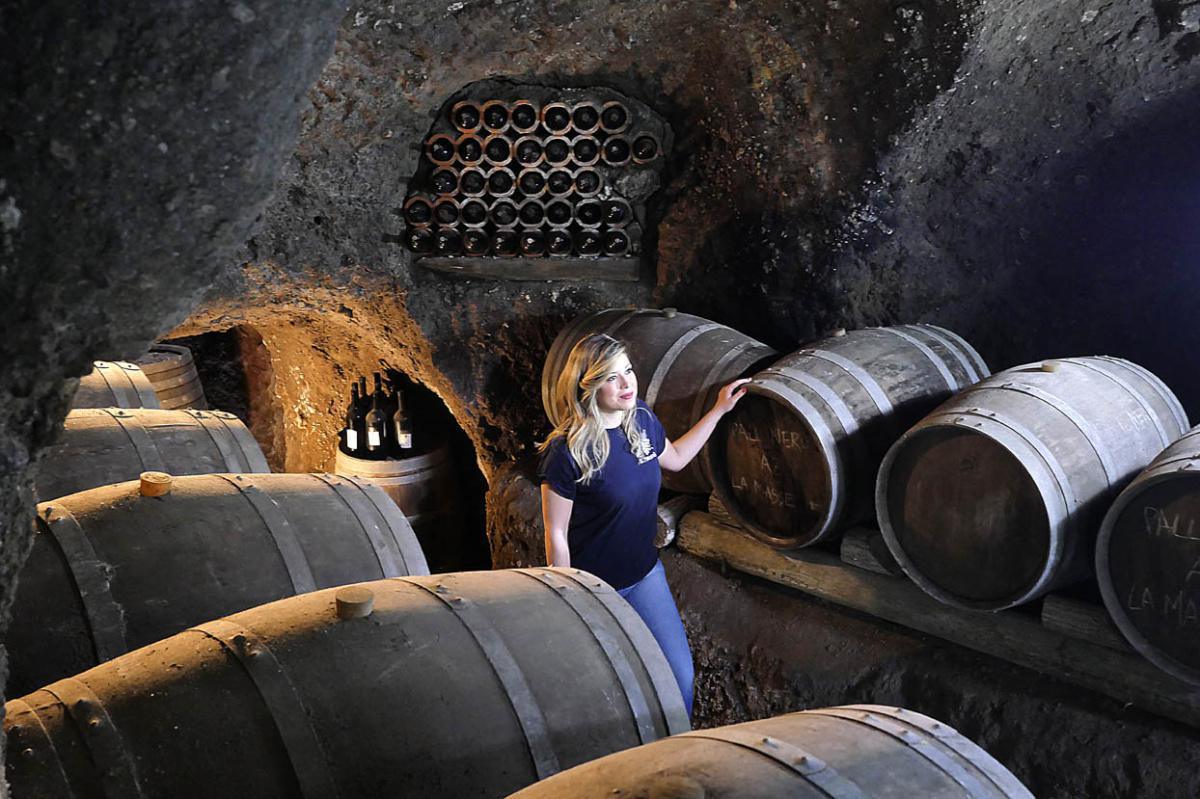 TOUR VINO DEL RE : TRE STILI DI PALLAGRELLO  TOUR VINO DEL RE : TRE STILI DI PALLAGRELLO