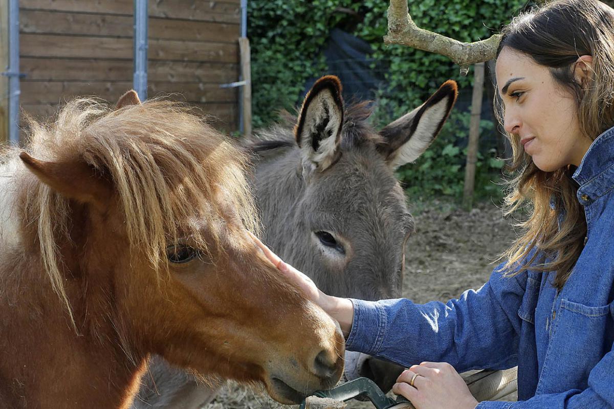 WALKING TOUR CAIAZZO  WALKING TOUR CAIAZZO