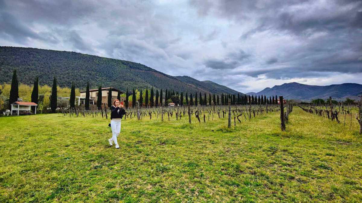 TOUR KING’S LIFE TOUR KING’S LIFE