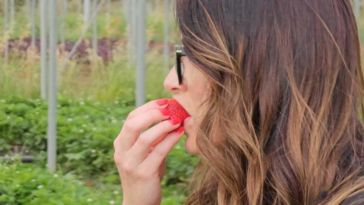 BIOLOGICAL TOUR BIOLOGICAL TOUR