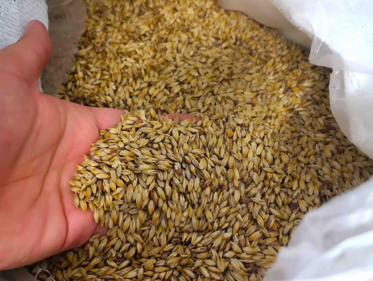 BIRRA TOUR BIRRA TOUR