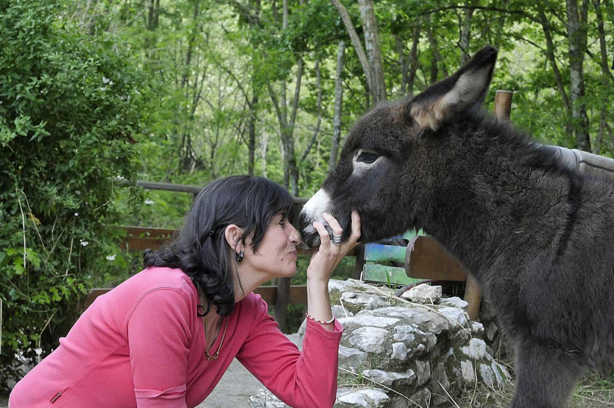 FAMILY TOUR  FAMILY TOUR