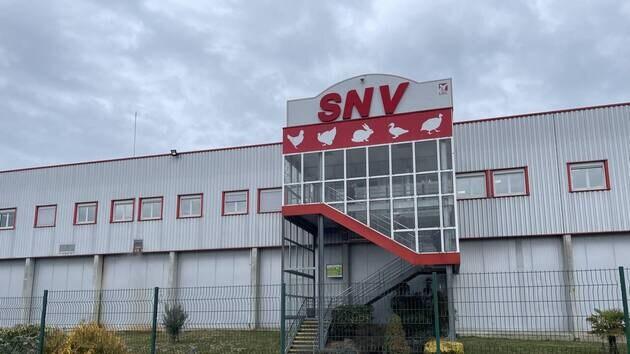 LDC : des investissements pour garantir du poulet élevé en France