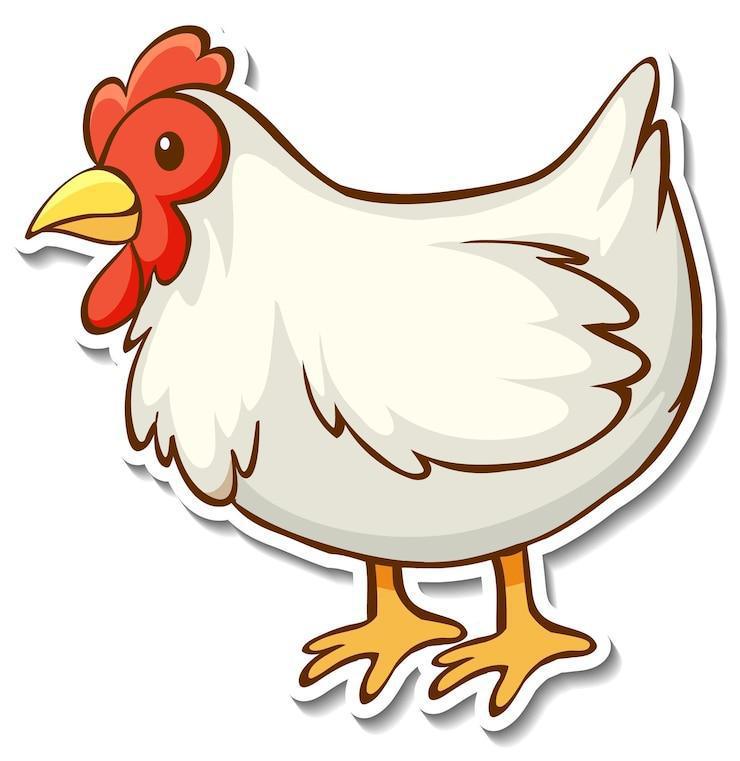 Pourquoi le prix du poulet s'envole-t-il ?