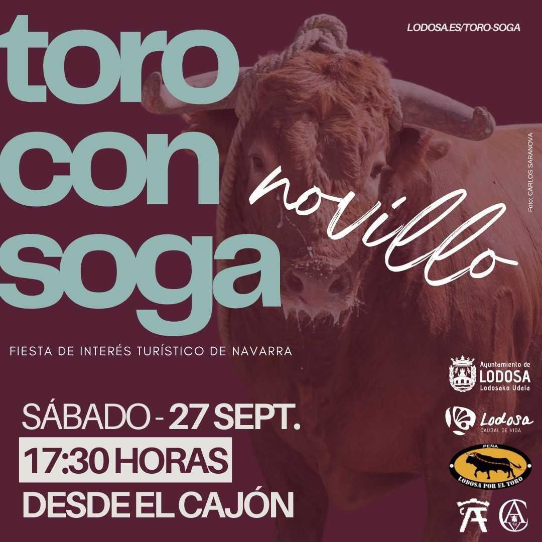 TORO CON SOGA – 27/09 [novillo]