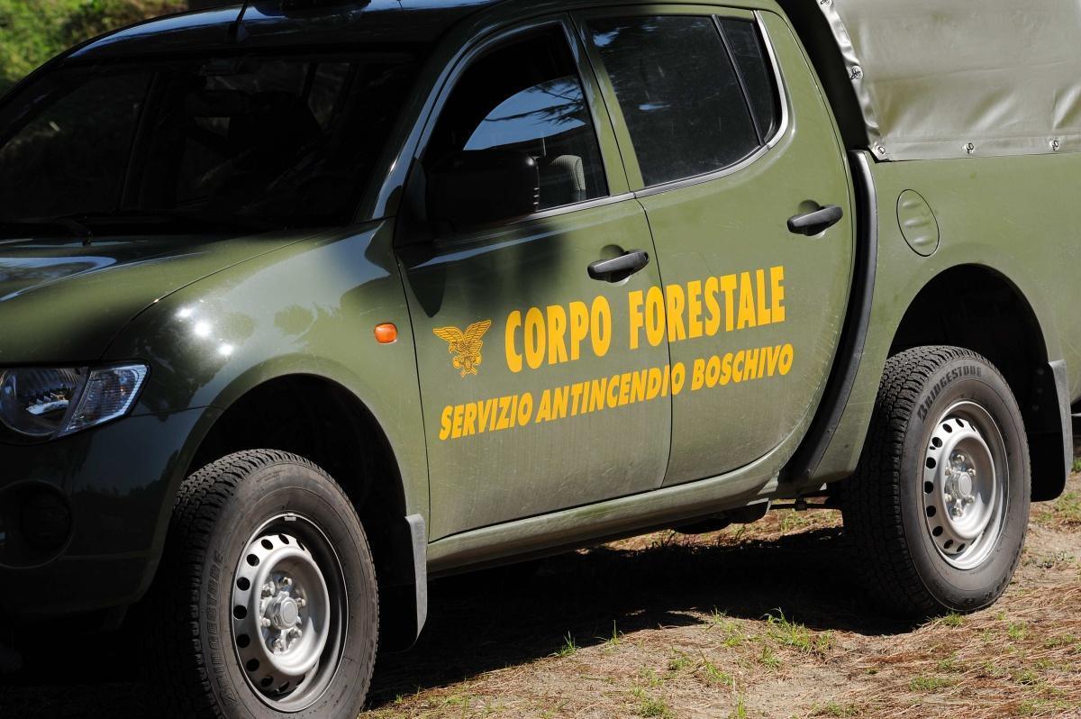 Corpo Forestale dello Stato