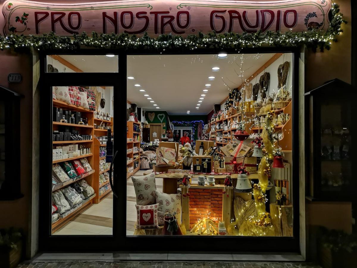 Pro nostro gaudio