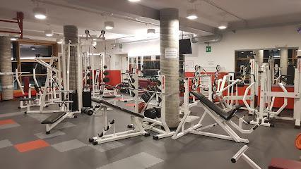 Palestra Gym Club
