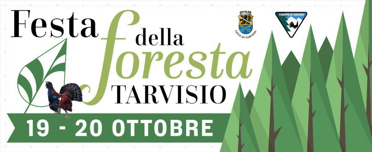 Presentazione Progetto Lince Italia Cortometraggi sulla fauna della Foresta - Festa della Foresta Tarvisio (inizio ore 10:00)