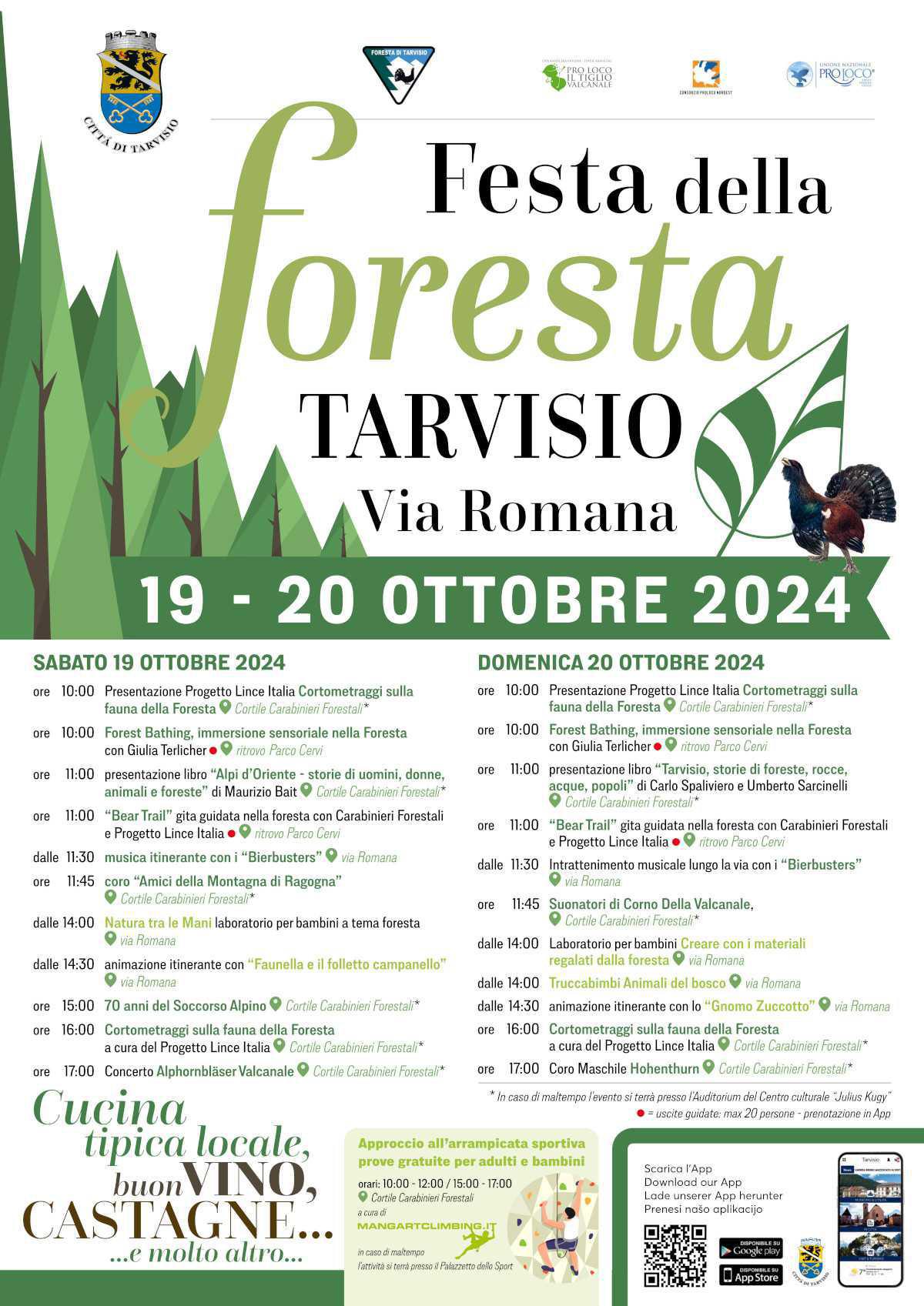Presentazione Progetto Lince Italia Cortometraggi sulla fauna della Foresta - Festa della Foresta Tarvisio (inizio ore 10:00)