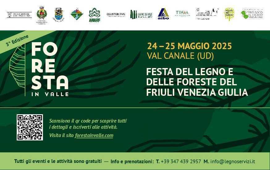 Vivere la Foresta (inizio ore 12:00)