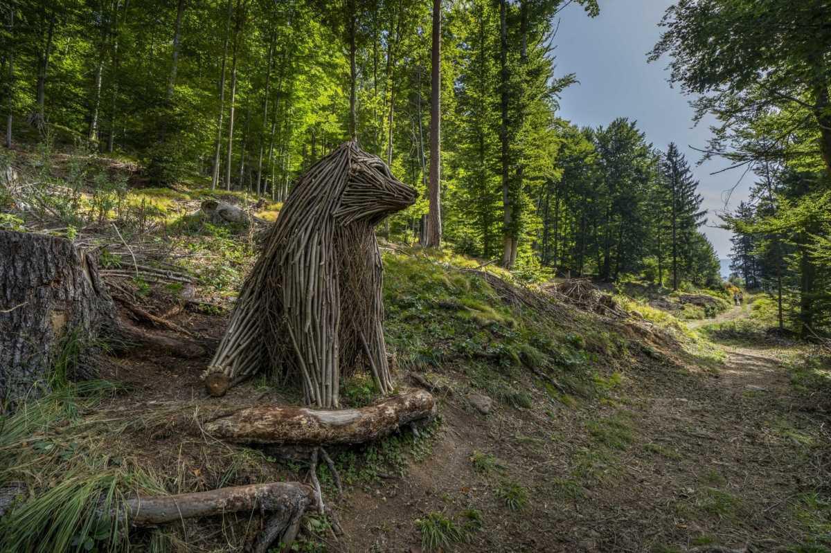 Land Art & Radici - Sentiero Rio Argento