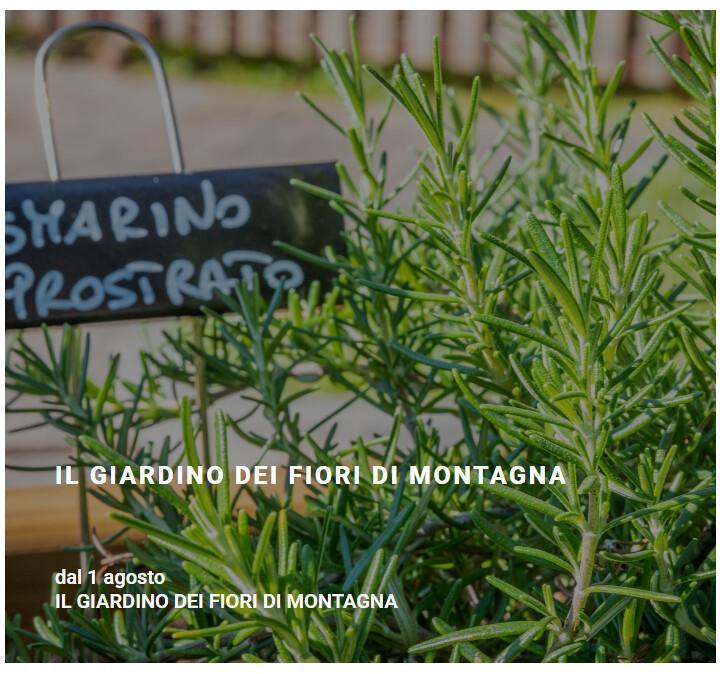 Il Giardino dei Fiori di Montagna (Periodo: agosto – settembre)
