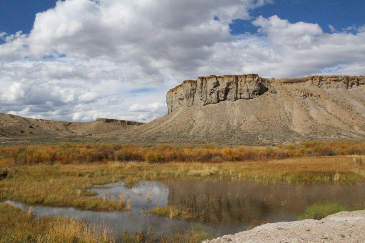 Policies & Procedures